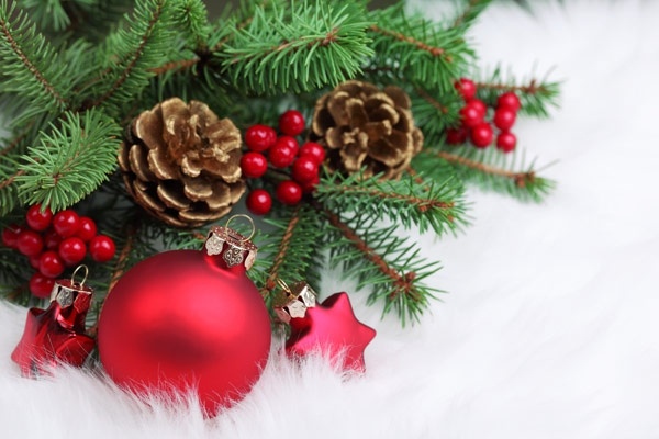CIBPA Holiday Basket Donations