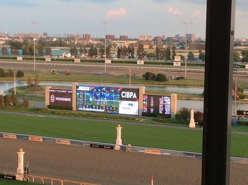 Woodbine Evening at the Races